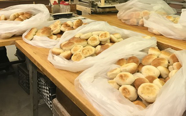 timmys-legendary-pizza-providence-ri